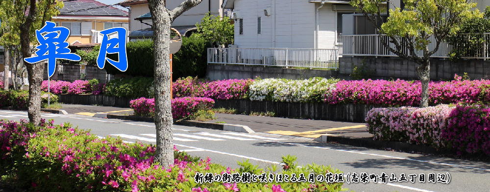 トップページ画像